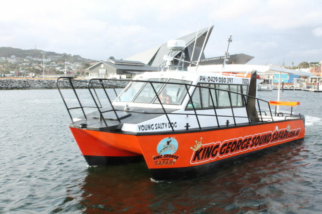 The Young Salty Dog of King George Sound Safari at the Albany Marina opposite the Albany Entertainment Centre